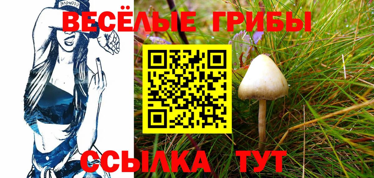 Псилоцибиновые грибы прущие грибы Сафоново