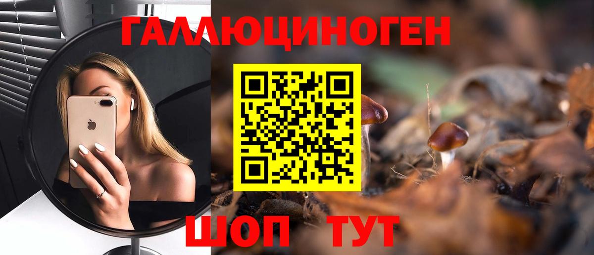 Сафоново  Псилоцибиновые грибы GOLDEN TEACHER  Вход с VPN  Псилоцибиновые грибы Psilocybine cubensis 